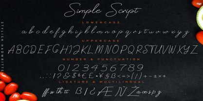 Simple Script Font Poster 7