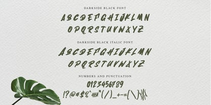 Darkside Black Font Poster 8