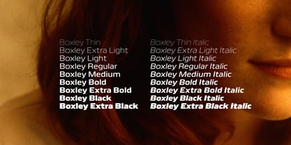 Boxley Font Poster 6