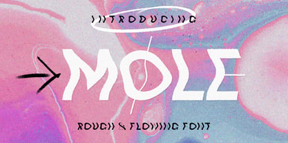 Mole Display Font Poster 1