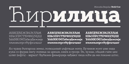 Monodia Font Poster 9