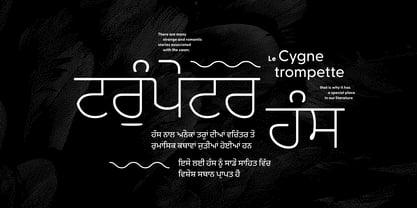 Greycliff Gurmukhi CF Font Poster 2