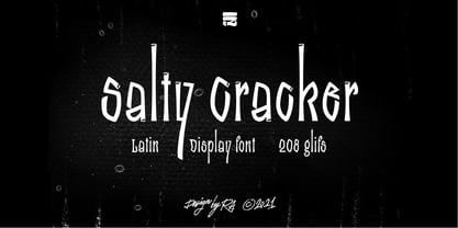 Salty Cracker Font Poster 1