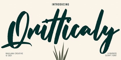 Qritticaly Font Poster 1