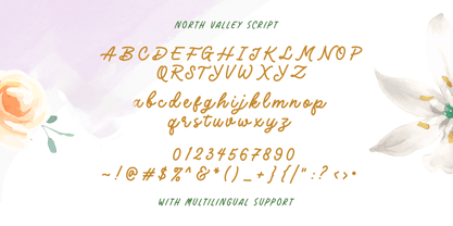 North Valley Font Poster 8