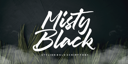 Misty Black Fuente Póster 1