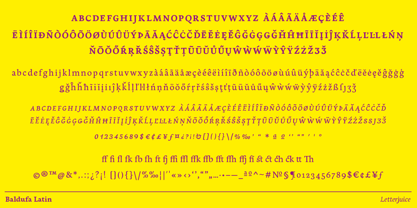 Baldufa Cyrillic Ltn Font Poster 5