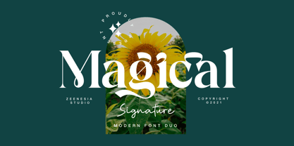 Magical Signature Font Poster 1