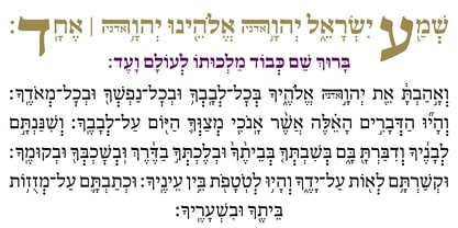 Hebrew Ariel Tanach Fuente Póster 3