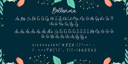 Bellamona Font Poster 9