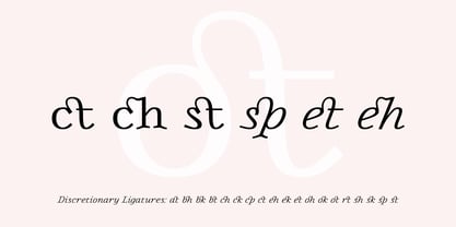 Piacere Font Poster 12