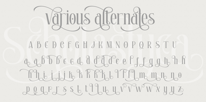 Scholastyca Typeface Font Poster 8