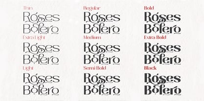 Roses Bolero TP Font Poster 12