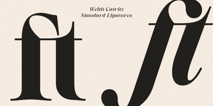 Welth Catritz Font Poster 10