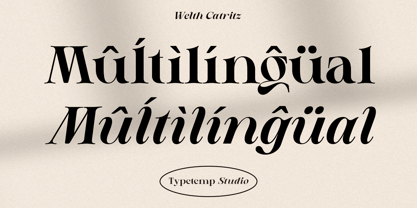 Welth Catritz Font Poster 5