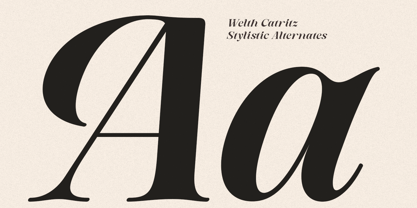 Welth Catritz Font Poster 9