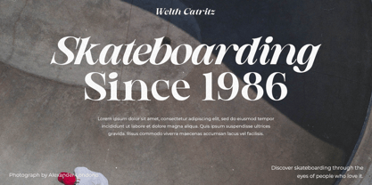 Welth Catritz Font Poster 7