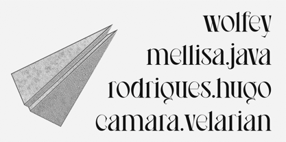 Meave Multipurpose Display Typeface Fuente Póster 4