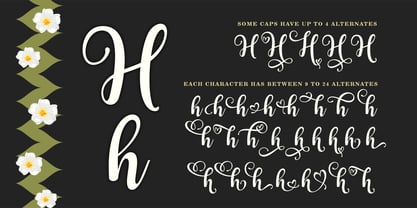 Absolute Duo Font by m.ardiansyah1988 · Creative Fabrica