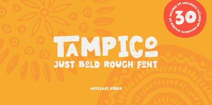 SA Tampico Font Poster 1