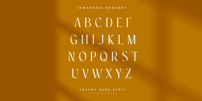 Rogsant Font Poster 10