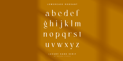 Rogsant Font Poster 9