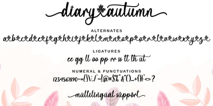 Diary Autumn Font Poster 9