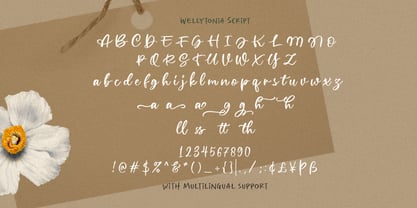 Wellytonia Package Font Poster 6