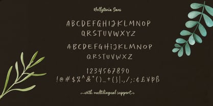 Wellytonia Package Font Poster 7