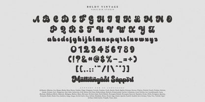 Boldy Vintage Font Poster 8