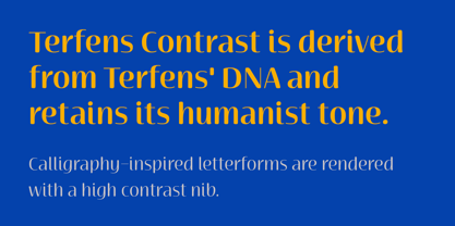 Terfens Contrast Font Poster 8