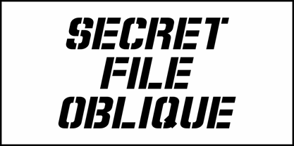 Secret File JNL Font Poster 4