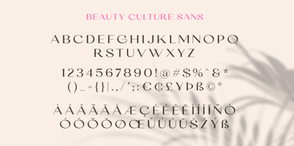Beauty Culture Font Poster 9