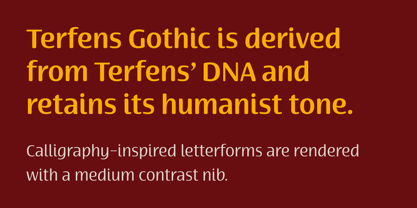 Terfens Gothic Font Poster 5