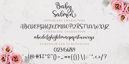 Baby Salmon Script Fuente Póster 7