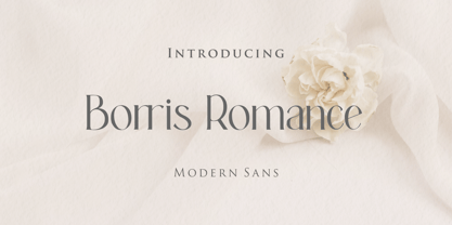 Borris Romance Font Poster 1