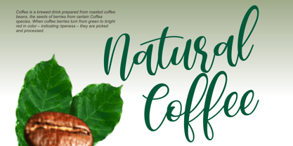 Coffee Matcha Font Poster 2