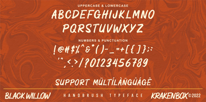 Black Willow Font Poster 11