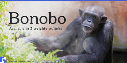 Bonobo Font Poster 7