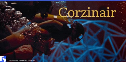 Corzinair Police Poster 1