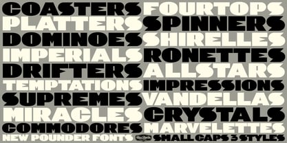 Pounder Font Poster 7