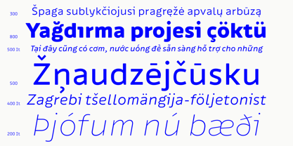 Ipsum Sans Font Poster 4