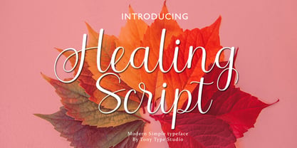 Healing Script Font Poster 1