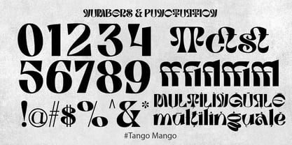 Tango Mango Fuente Póster 9