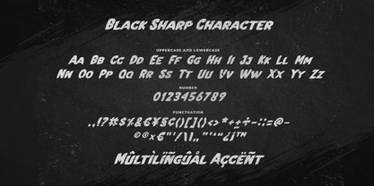 Black Sharp Font Poster 6