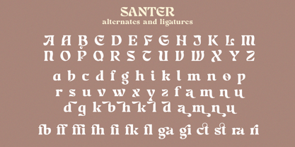 Santer Font Poster 14