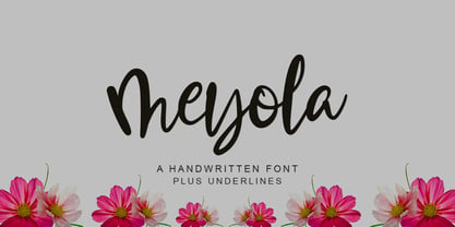 Meyola Font Poster 1