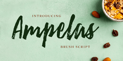 Ampelas Brush Script Font Poster 1