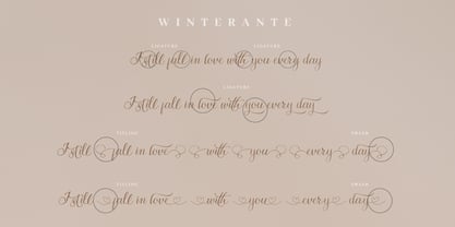 Winterante Font Poster 8