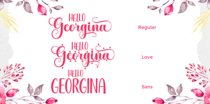 Hello Georgina Script Font Poster 3